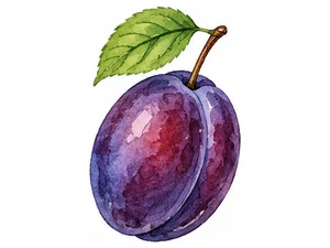 plum