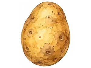 potato