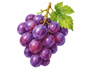 purple grapes