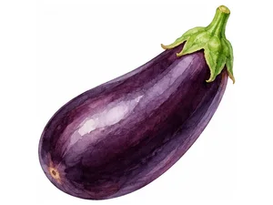 Aubergine - баклажан