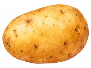 Potato - картофель